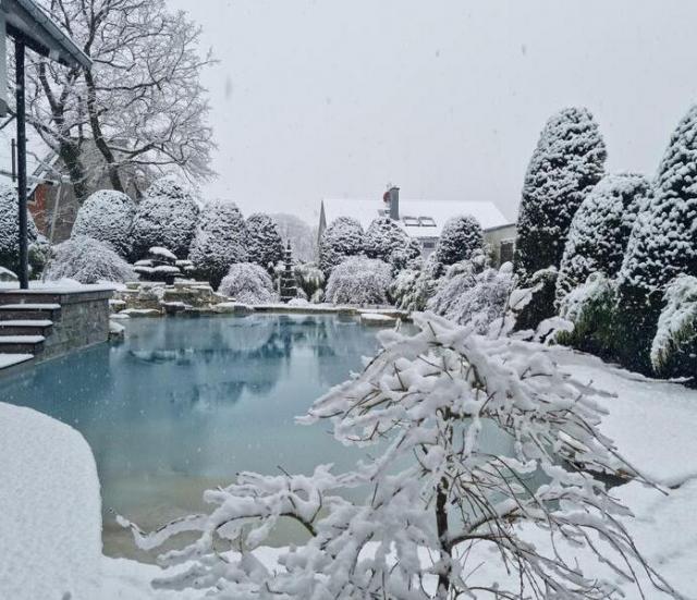 Naturpool im Winter